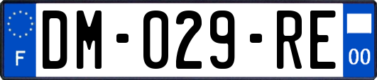 DM-029-RE
