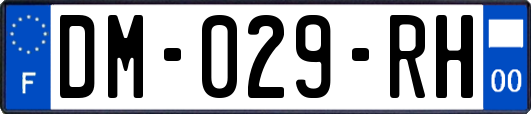 DM-029-RH