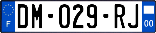 DM-029-RJ