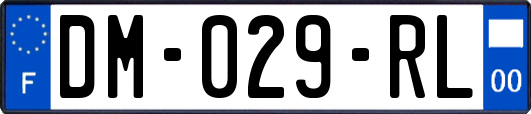DM-029-RL