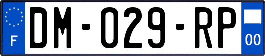 DM-029-RP