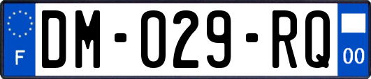 DM-029-RQ