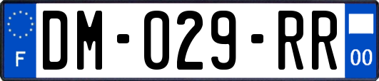 DM-029-RR