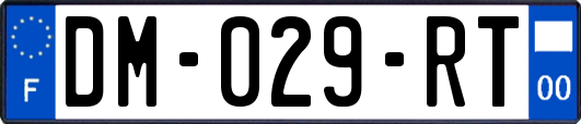 DM-029-RT