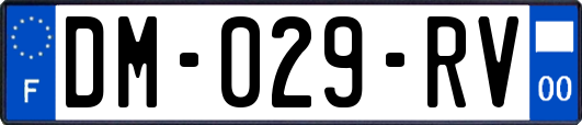 DM-029-RV