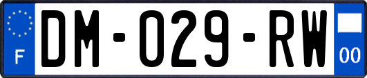 DM-029-RW