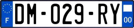 DM-029-RY
