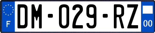 DM-029-RZ