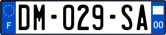 DM-029-SA
