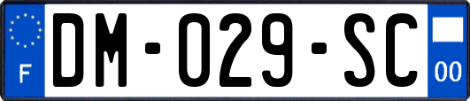 DM-029-SC