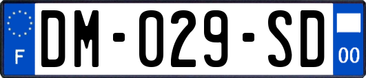 DM-029-SD