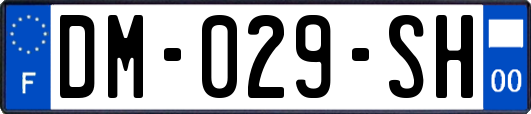 DM-029-SH