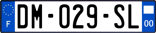 DM-029-SL