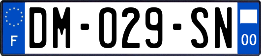 DM-029-SN