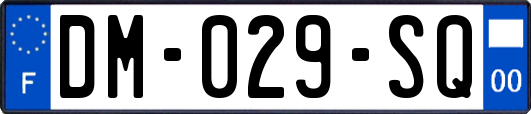 DM-029-SQ