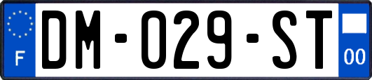 DM-029-ST