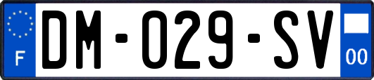 DM-029-SV
