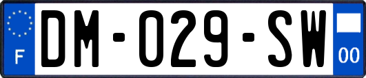 DM-029-SW