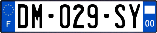 DM-029-SY