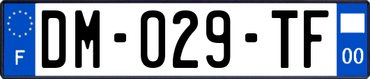 DM-029-TF