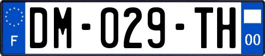 DM-029-TH