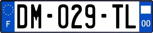 DM-029-TL