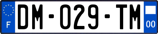 DM-029-TM