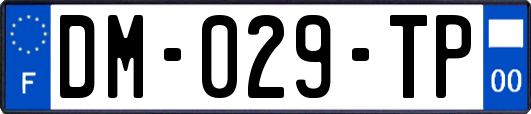 DM-029-TP