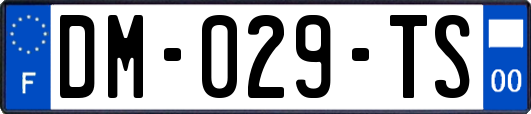 DM-029-TS