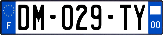 DM-029-TY