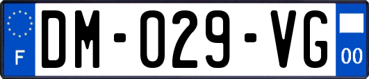 DM-029-VG