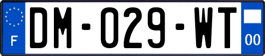 DM-029-WT