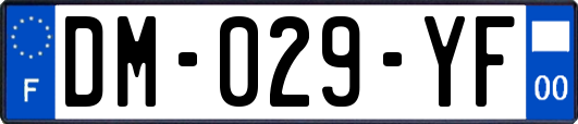 DM-029-YF