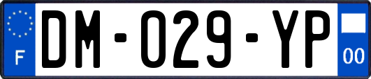 DM-029-YP