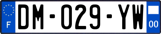 DM-029-YW