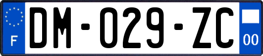 DM-029-ZC