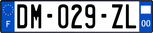 DM-029-ZL