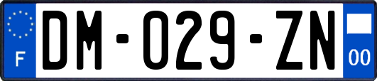 DM-029-ZN