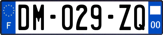 DM-029-ZQ