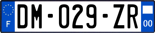 DM-029-ZR