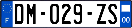 DM-029-ZS