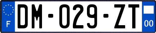 DM-029-ZT