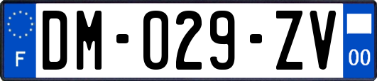 DM-029-ZV