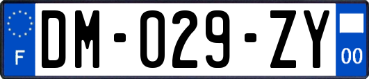 DM-029-ZY