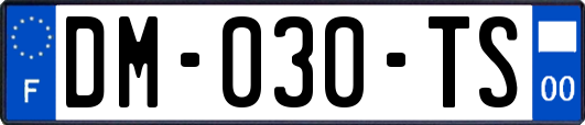 DM-030-TS