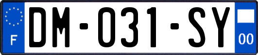 DM-031-SY