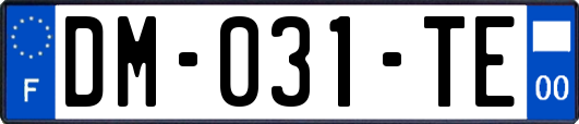 DM-031-TE