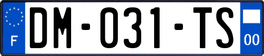 DM-031-TS