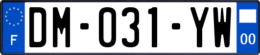 DM-031-YW