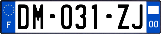 DM-031-ZJ